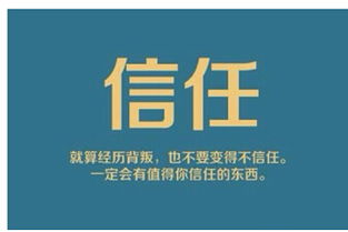 薇薇朵最强战队紫芳强势招代理 携手共创互联网数据服务新篇章